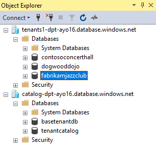 object explorer