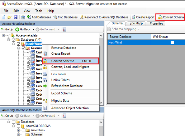 Screenshot of the "Convert Schema" command on the "Access Metadata Explorer" pane.