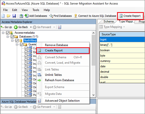 Screenshot of the "Create Report" command in Access Metadata Explorer.