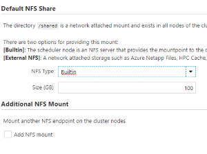 NAS Options