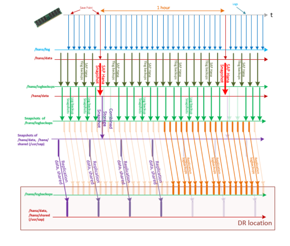 Relationship between a transaction log backup snapshot and a snap mirror on a time axis