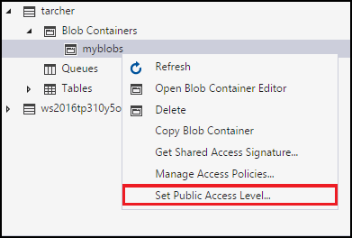 Set public access level context menu