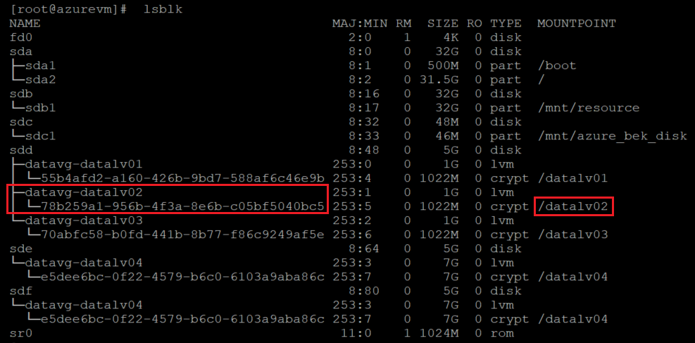 Screenshot showing the result of the l s b l k command. The command and the result are highlighted.