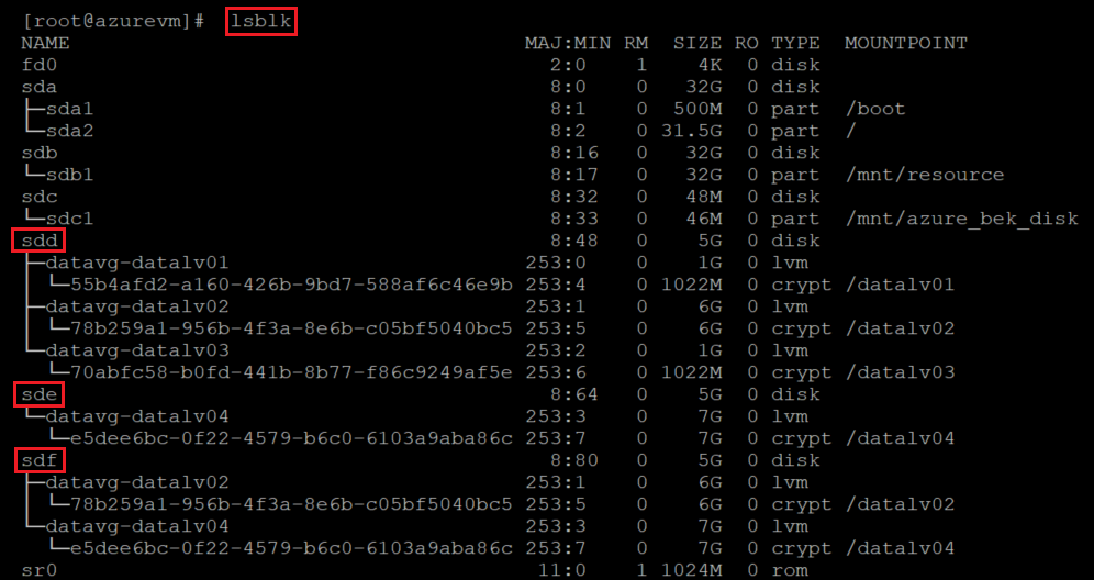 Screenshot showing the code that checks the output of l s b l k. The command and the results are highlighted.