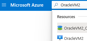 Screenshot of the search box and the results for the second Oracle VM.
