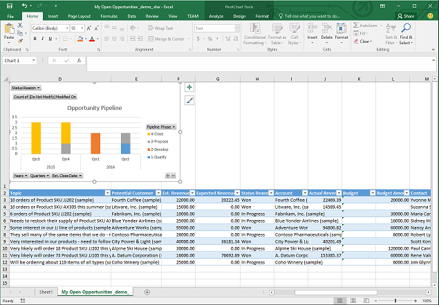 A customized Excel template.