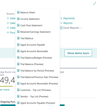 New Excel reports. Reports are marked as preview for the 2024 release wave 1.