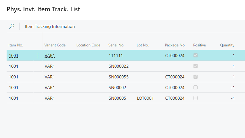 Physical Inventory - Item Tracking