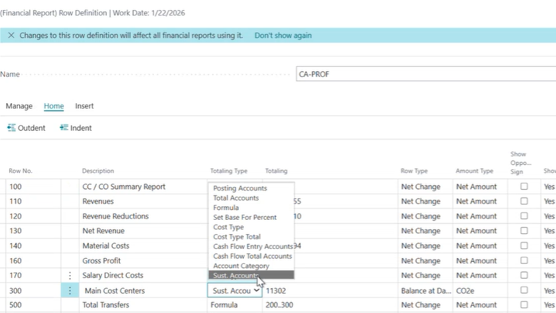 Sustainability entries in the financial reports