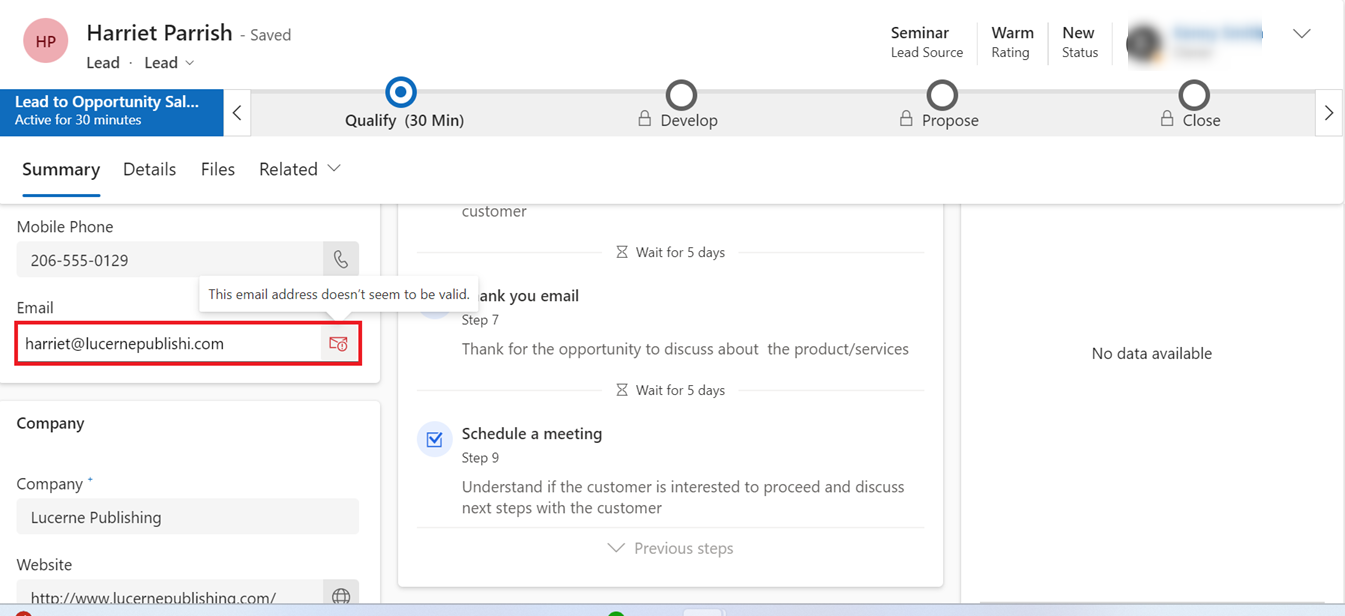 Screenshot showing an invalid email address in the primary lead entity form.