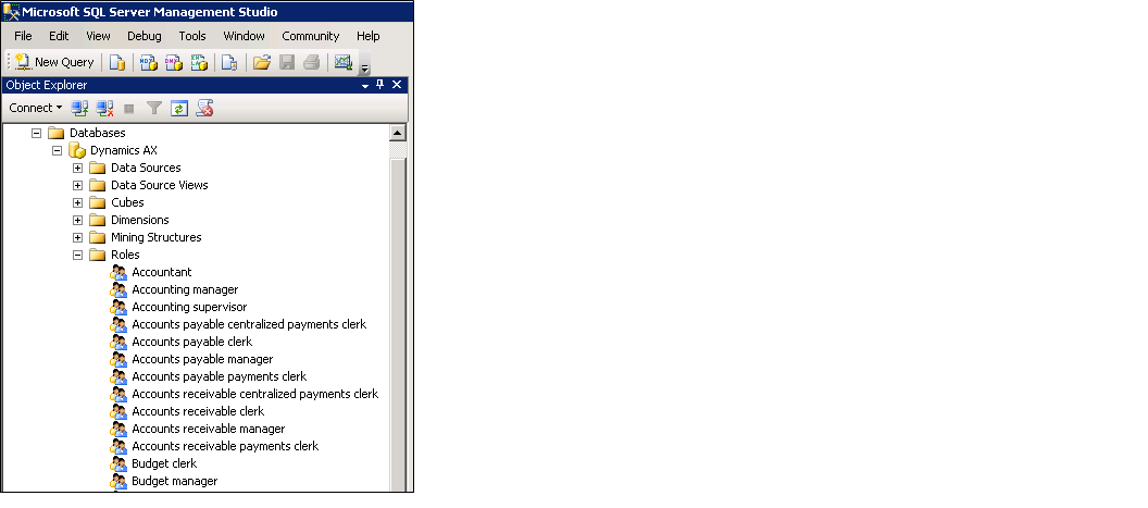 Roles in Analysis Services