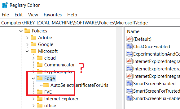 A screen capture containing the Registry's GUI, indicating missing subkey under 'Edge' key.