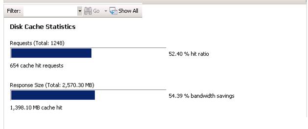 Screenshot of the Monitoring and Management Icon. The runtime Disk Cache Statistics is shown.