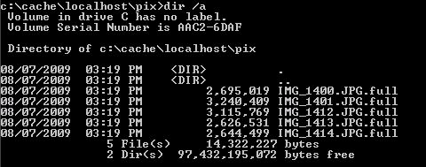 Screenshot shows a command prompt window with several files displayed.