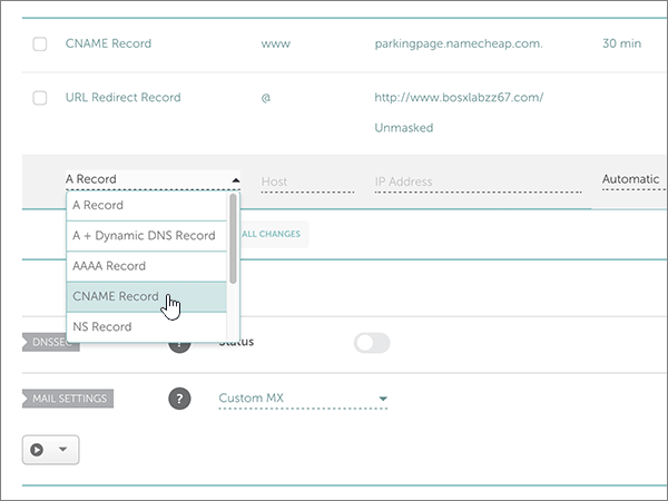 Select CNAME Record.