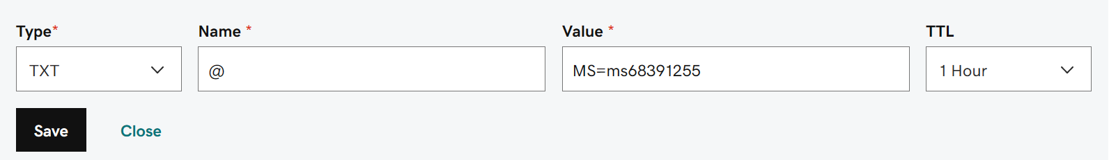 Fill in the values from the table for the domain verification TXT record.