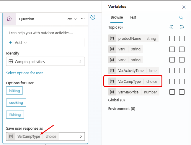 Screenshot of the Variable properties pane.