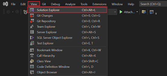 Screenshot showing the Solution Explorer.