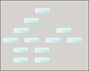 Gradient colored organizational chart style