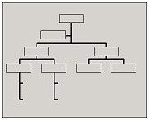 Wire frame organizational chart style