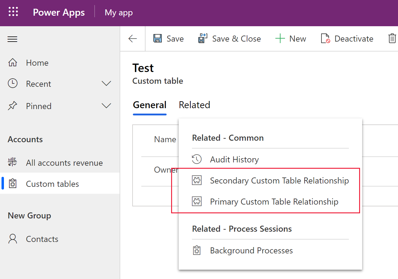 App with related records using relationship custom labels.