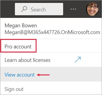 Screen capture showing license type displayed with account profile.