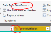 Column with explicit boolean type.