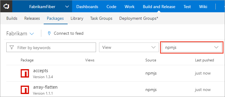 Screenshot of the filtered npm packages in TFS