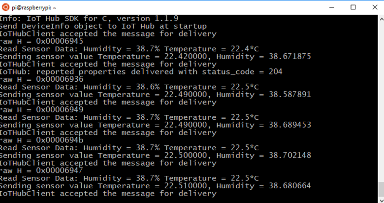 Output from Raspberry Pi app