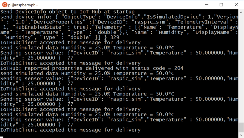 Output from Raspberry Pi app