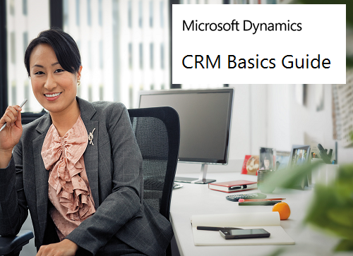 Screen shot of Dynamics 365 Basics Guide