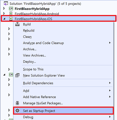 Set startup project in Solution Explorer