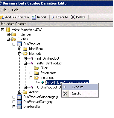 Execute FindAll_DimProduct_Instance method