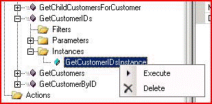 Execute GetCustomerIDsInstance method