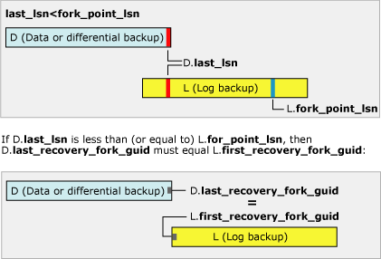 last_lsn is less than fork_point_lsn