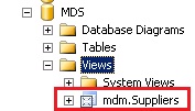 SQL Server Management Studio - mdm.Suppliers View