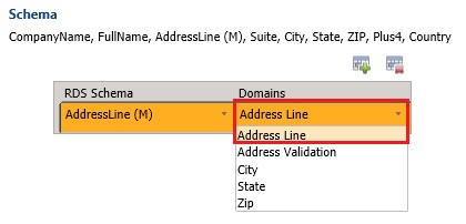 Map RDS Schema Item to Domain