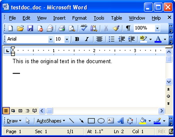 Microsoft Word