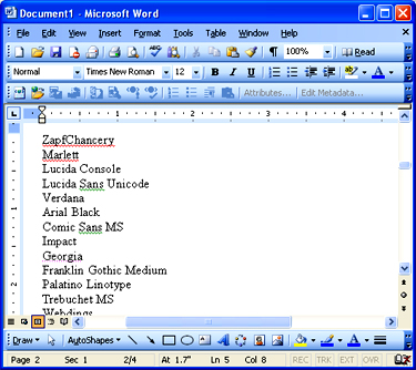 Microsoft Word