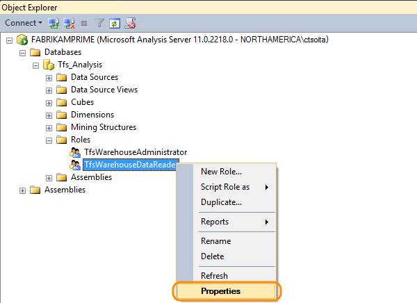 Open Tfs_Analysis data reader role properties