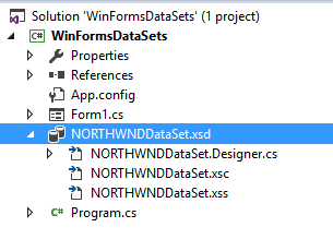 DataSet in Solution Explorer
