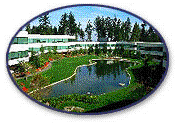 figure 1. microsoft campus photo