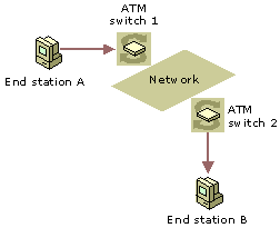 Establishing an SVC