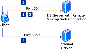 ActiveX control launches a remote session in IE