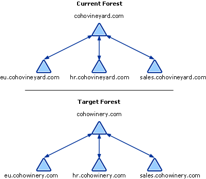 Domain Rename Without Repositioning Domains