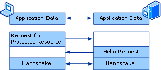 Server Initiated Renegotiation