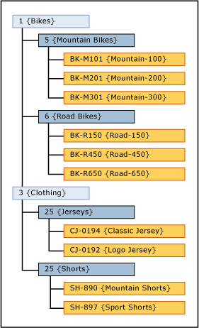 Mountain Bike Derived Hierarchy Example