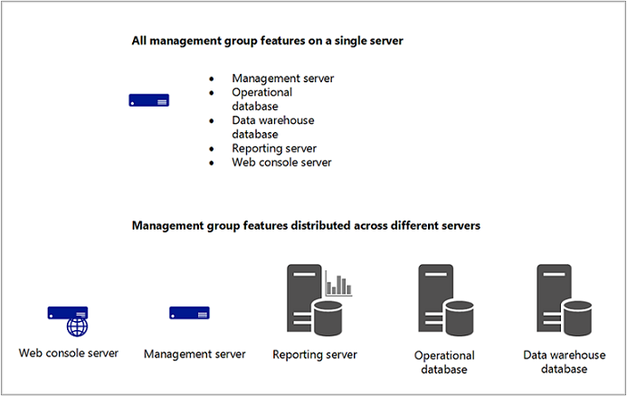 Illustration of the Basic Management Group.