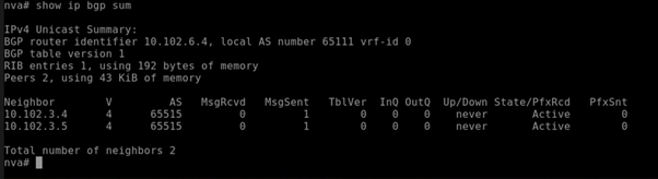 Screenshot of command execution on NVA VM. Screenshot shows Azure Route Server as BGP neighbor for NVA.