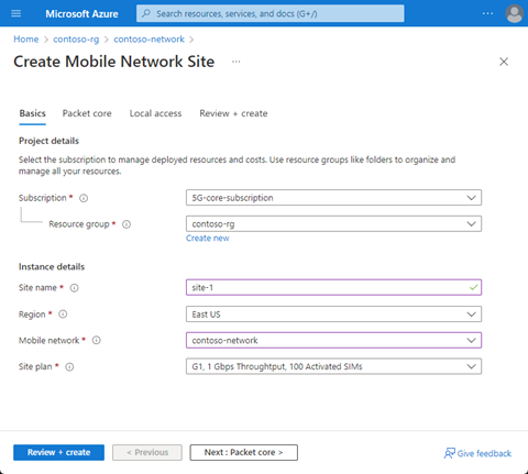 This screenshot displays the basics configuration tab.